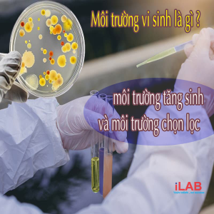 Môi trường vi sinh