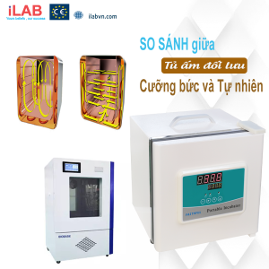 Tủ ấm đối lưu