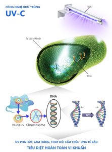 diệt vi khuẩn